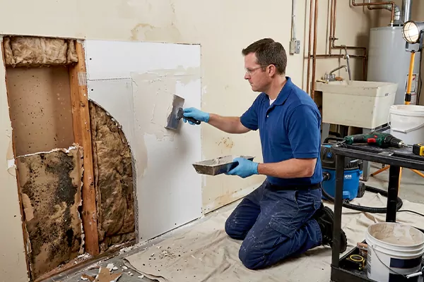 Mold and Drywall Repair Euless
