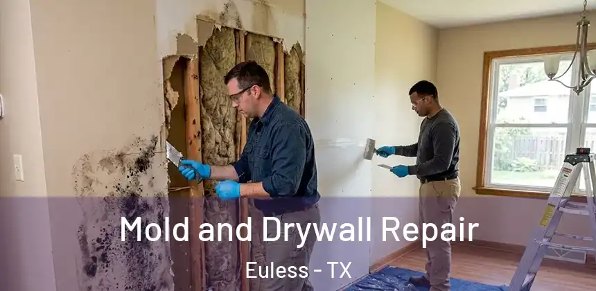 Mold and Drywall Repair Euless - TX