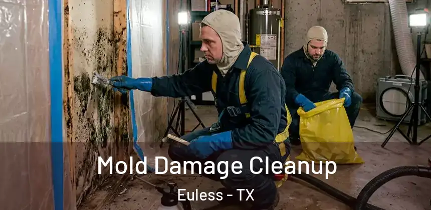 Mold Damage Cleanup Euless - TX