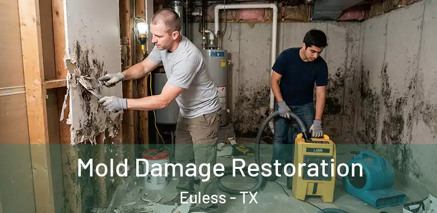 Mold Damage Restoration Euless - TX