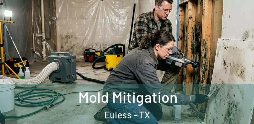 Mold Mitigation Euless - TX