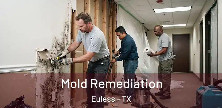 Mold Remediation Euless - TX