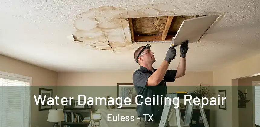 Water Damage Ceiling Repair Euless - TX