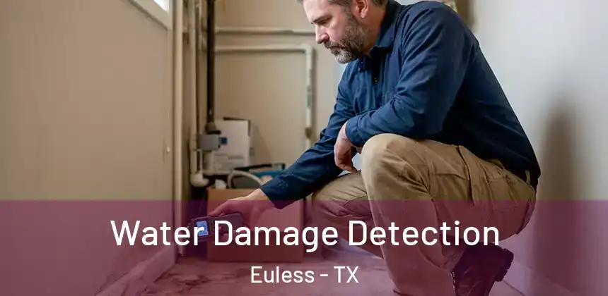 Water Damage Detection Euless - TX