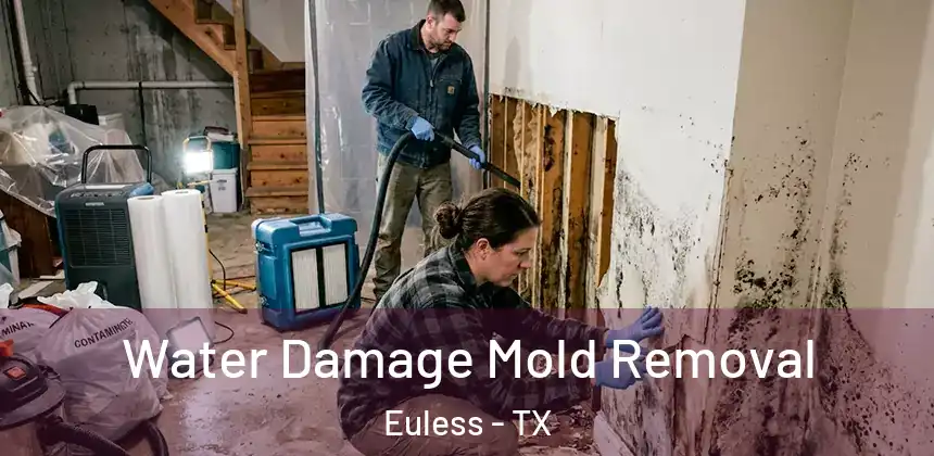 Water Damage Mold Removal Euless - TX