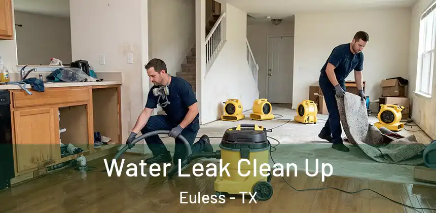 Water Leak Clean Up Euless - TX