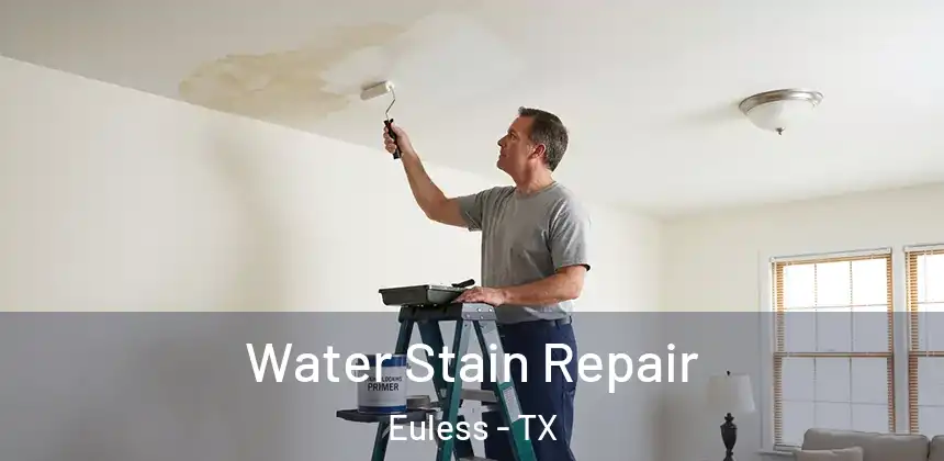 Water Stain Repair Euless - TX